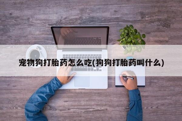 堕胎药叫什么名字微信怎么购买宠物狗打胎药怎么吃(狗狗打胎药叫什么)