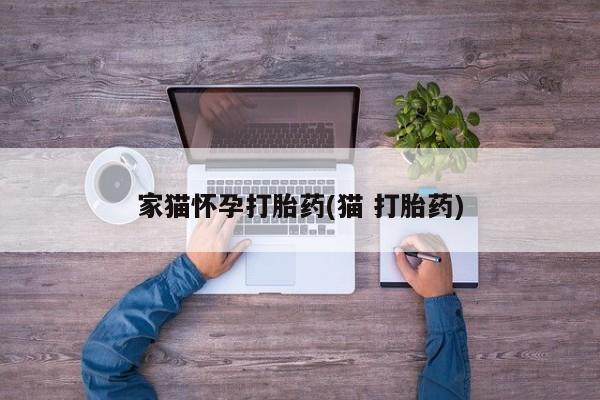 堕胎药叫什么名字微信怎么购买家猫怀孕打胎药(猫 打胎药)